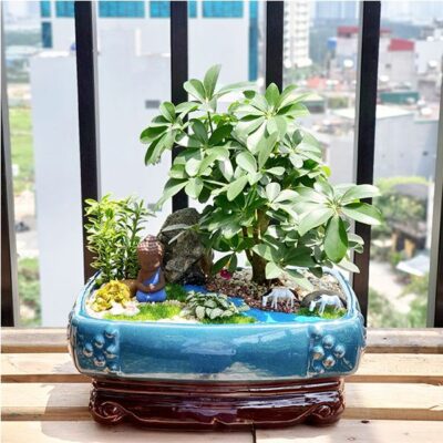 SP demo danh mục 5 ngb1